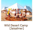 wilddesertresort.jpg